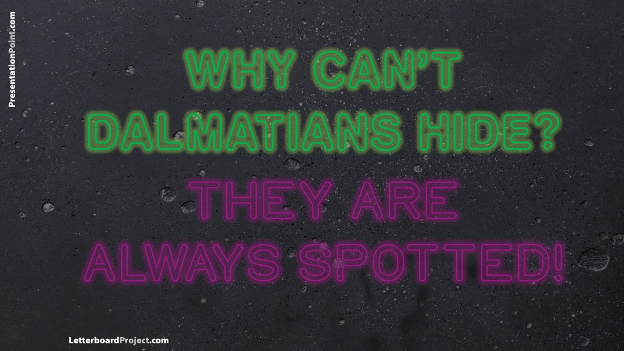 dalmatians can't hide
