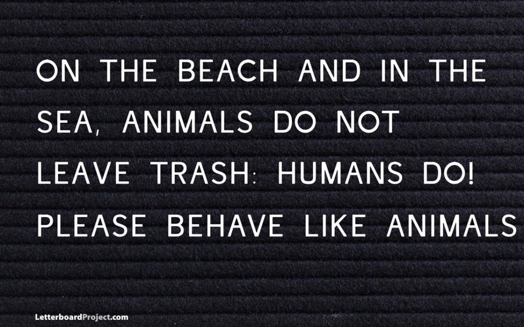 Be an animal