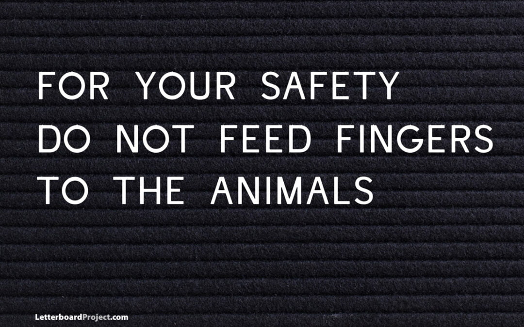 Do not feed the animals