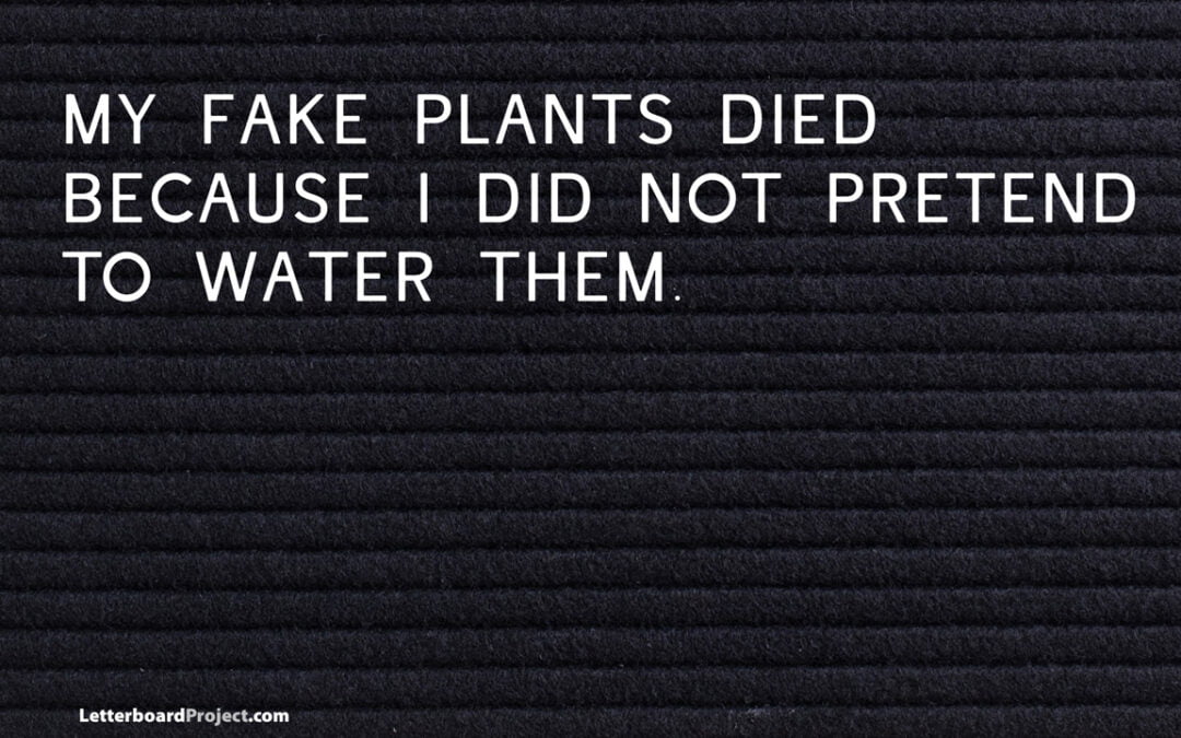 My fake plants died