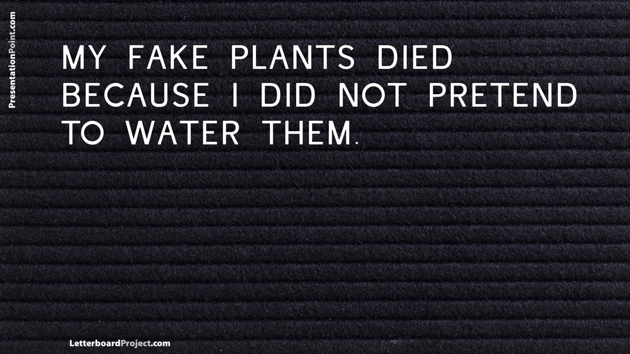 my fake plants died