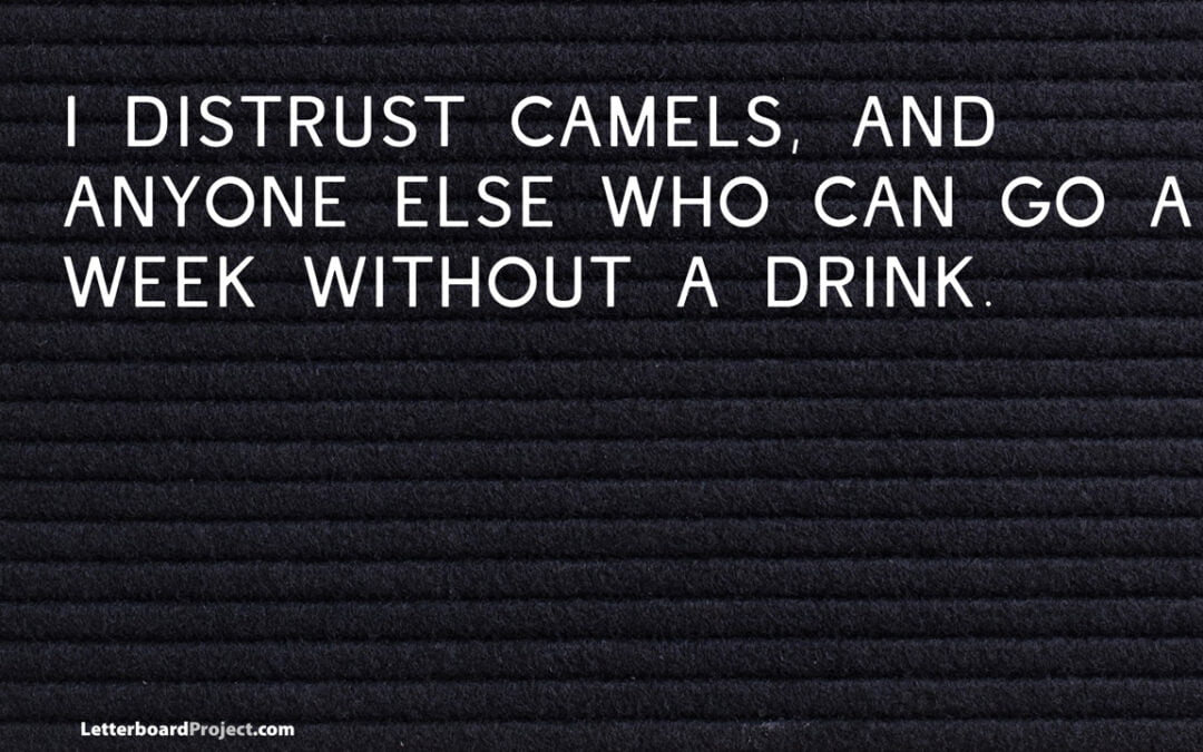 Distrust camels