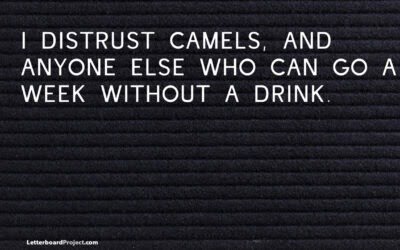 Distrust camels